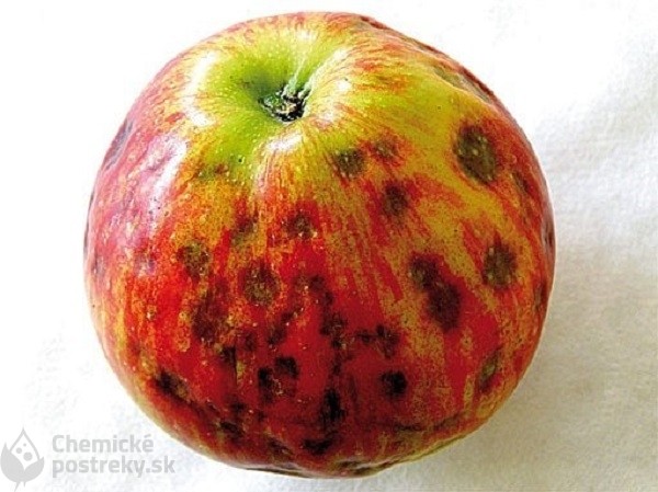 Pehovitosť jabĺk