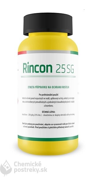 RINCON 25 SG  60 g