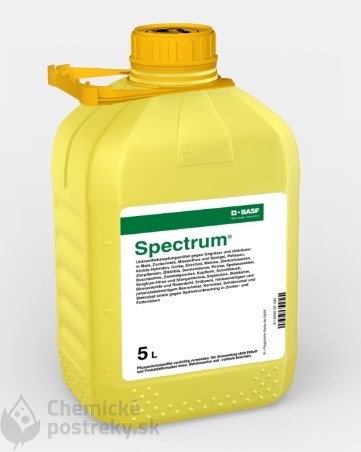 SPECTRUM 5 L
