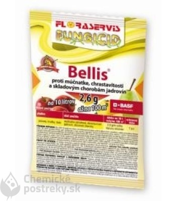  Floraservis BELLIS-2,6 g